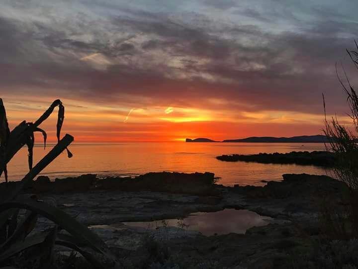 Il Tramonto Balaguer *